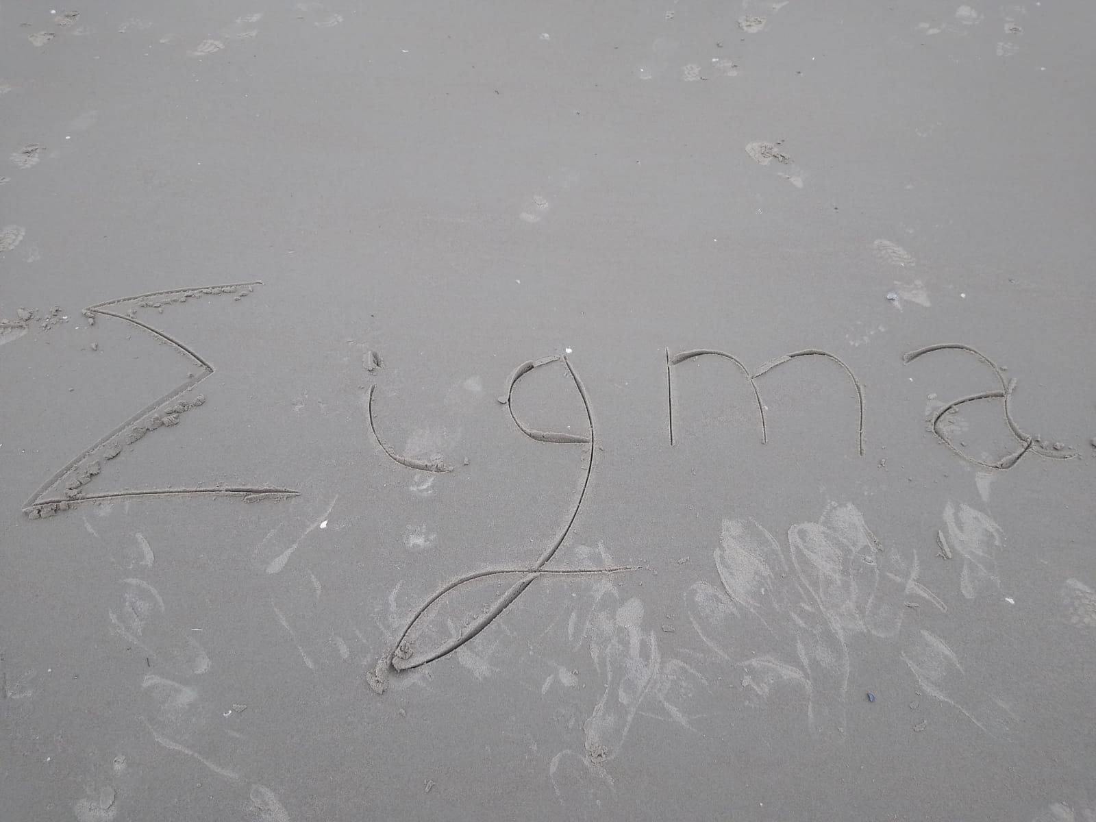 Sigma sur la plage